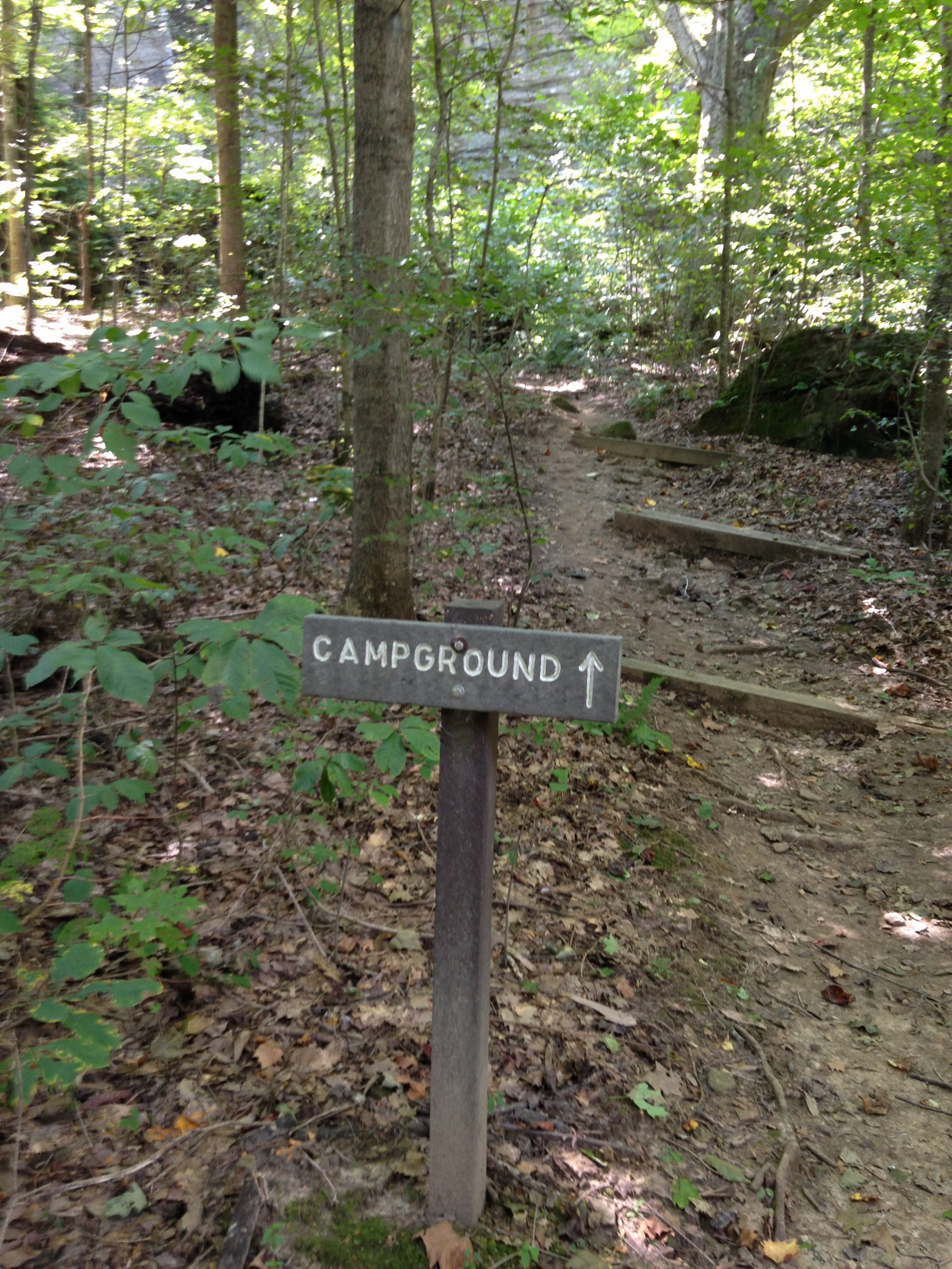 Camper submitted image from Group Campground — Ferne Clyffe State Park - 2