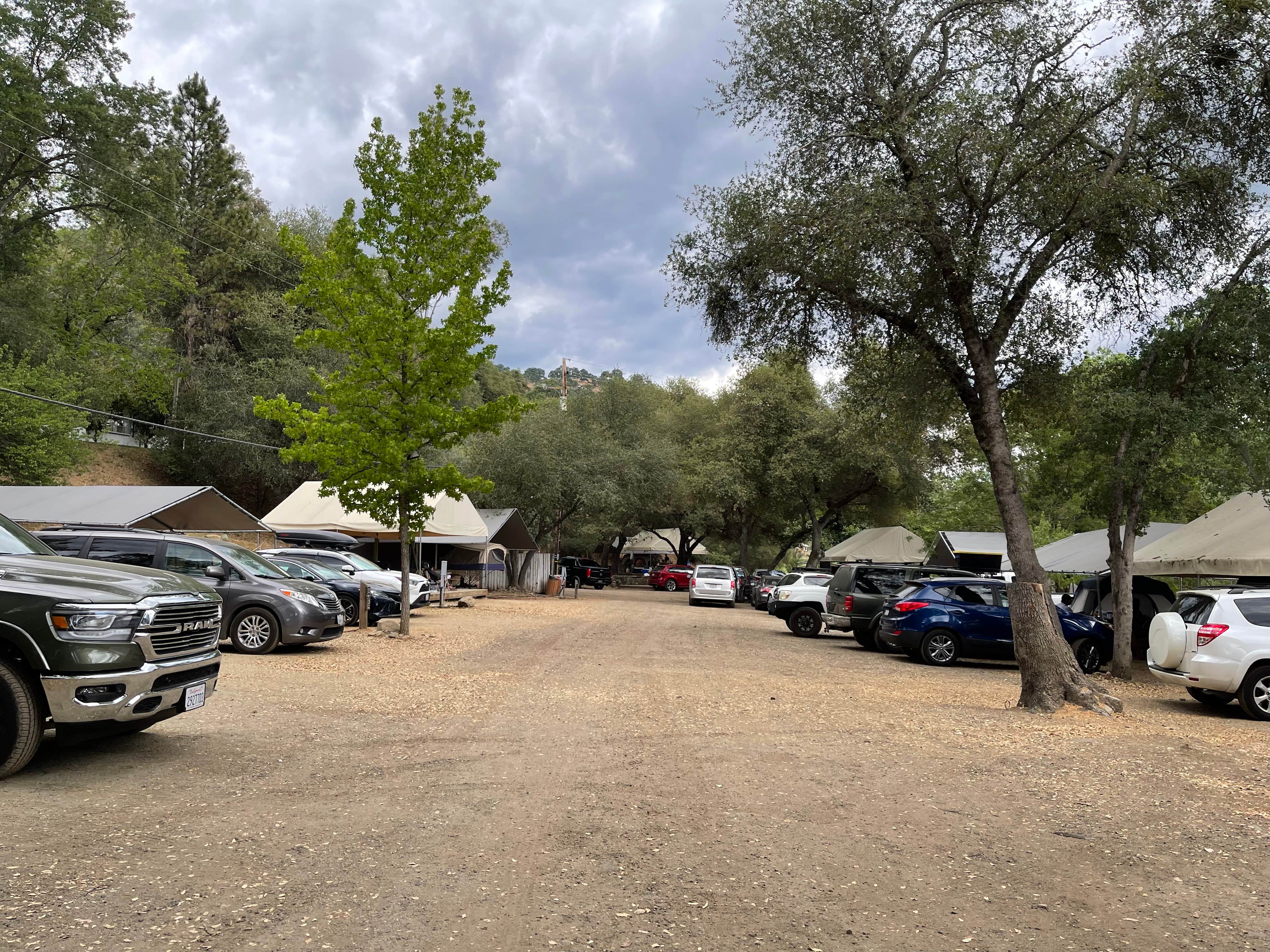 Coloma Resort The Dyrt