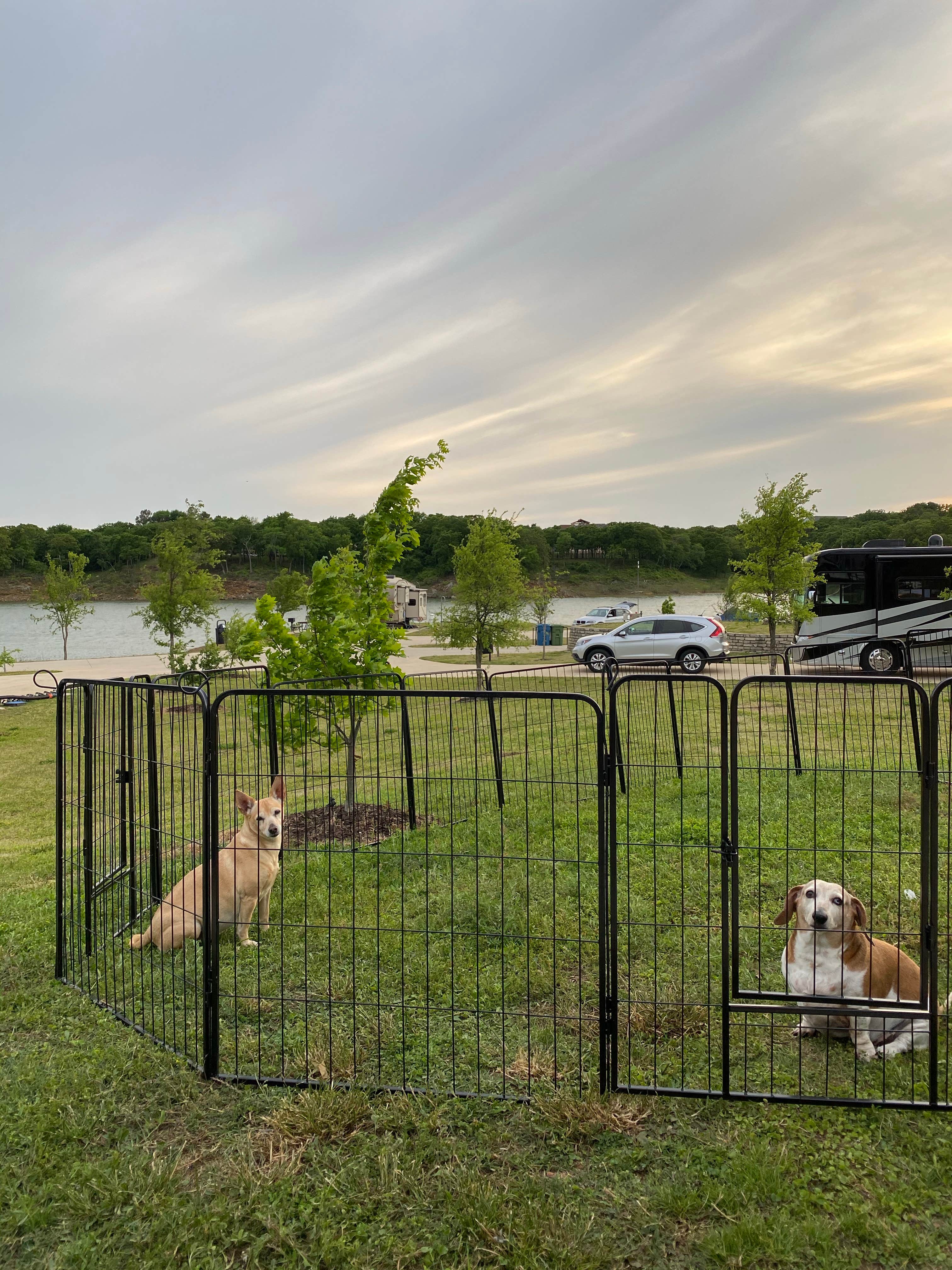Camper-submitted photo at Twin Coves Park near Addison, TX