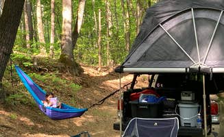 Drew F.'s photo at Marla Snead near Bakersville, NC