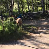 Review photo of East Portal Campground at Estes Park by Madeline B., July 15, 2016