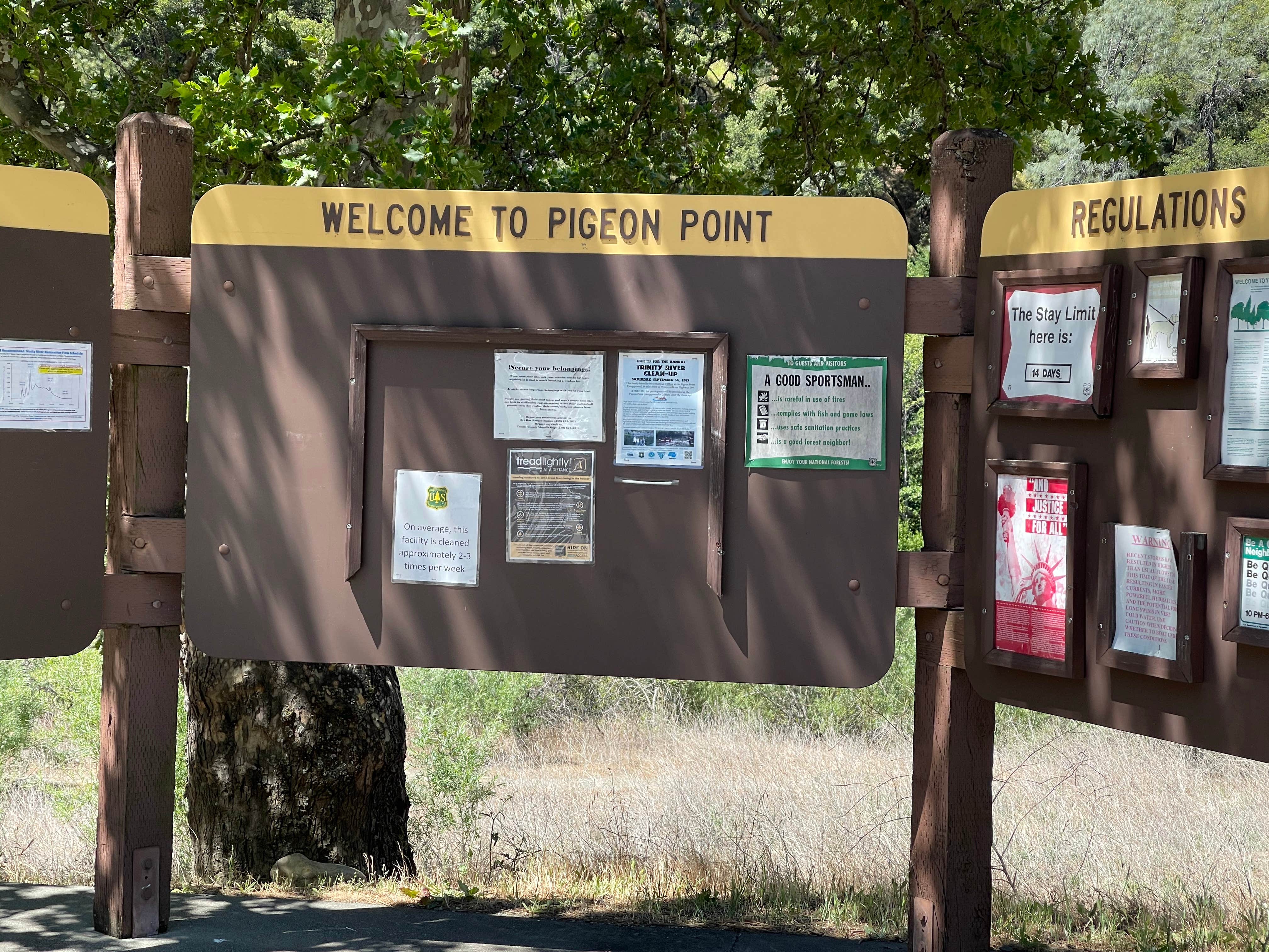 Camper submitted image from Pigeon Point Group Campground - 5