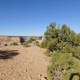 Review photo of Little Grand Canyon Dispersed Camping by Flo B., May 24, 2021