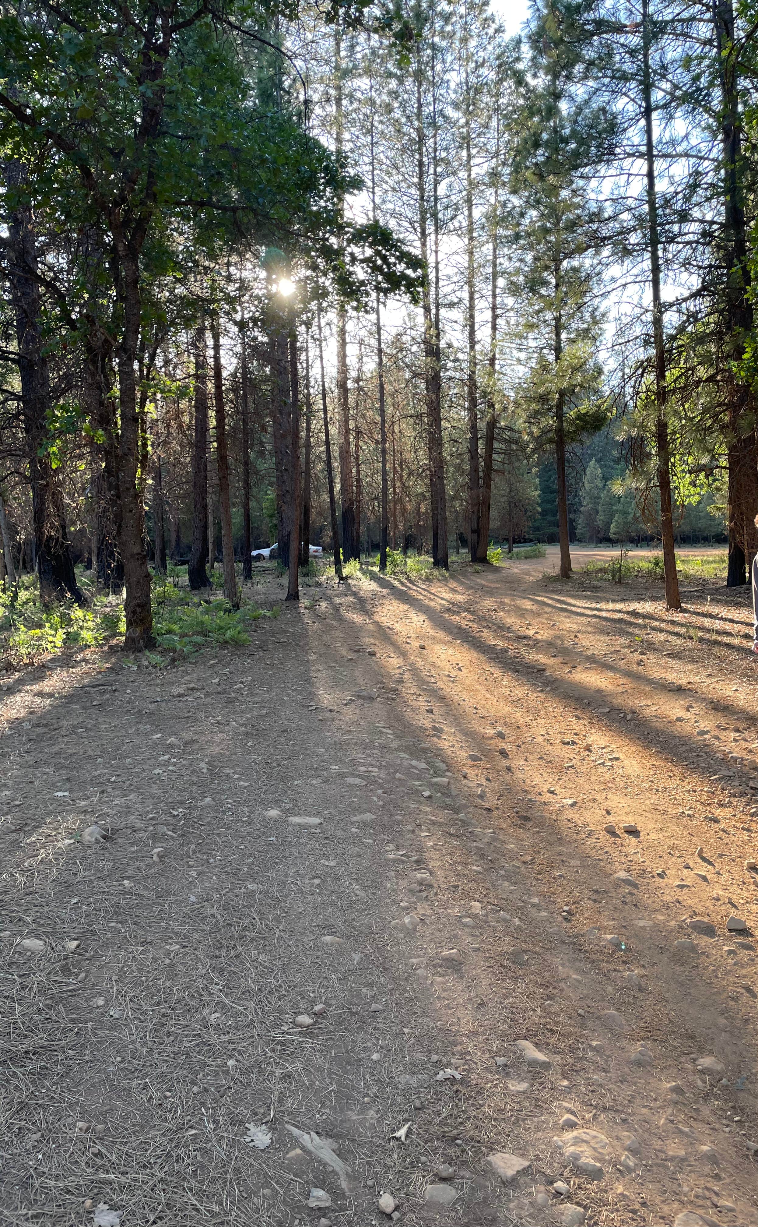 Camper-submitted photo at North Trinity Lake near Trinity Center, CA