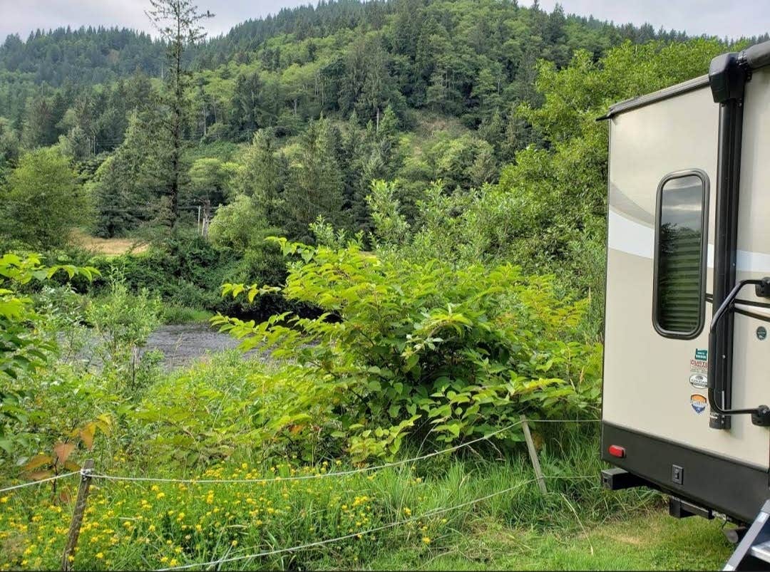 Trask River County Campground (Tillamook County Park) The Dyrt