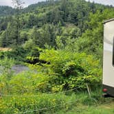 Review photo of Misty River RV Park by C. W., May 24, 2021