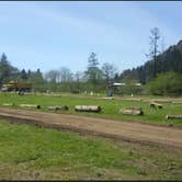 Review photo of Misty River RV Park by C. W., May 24, 2021