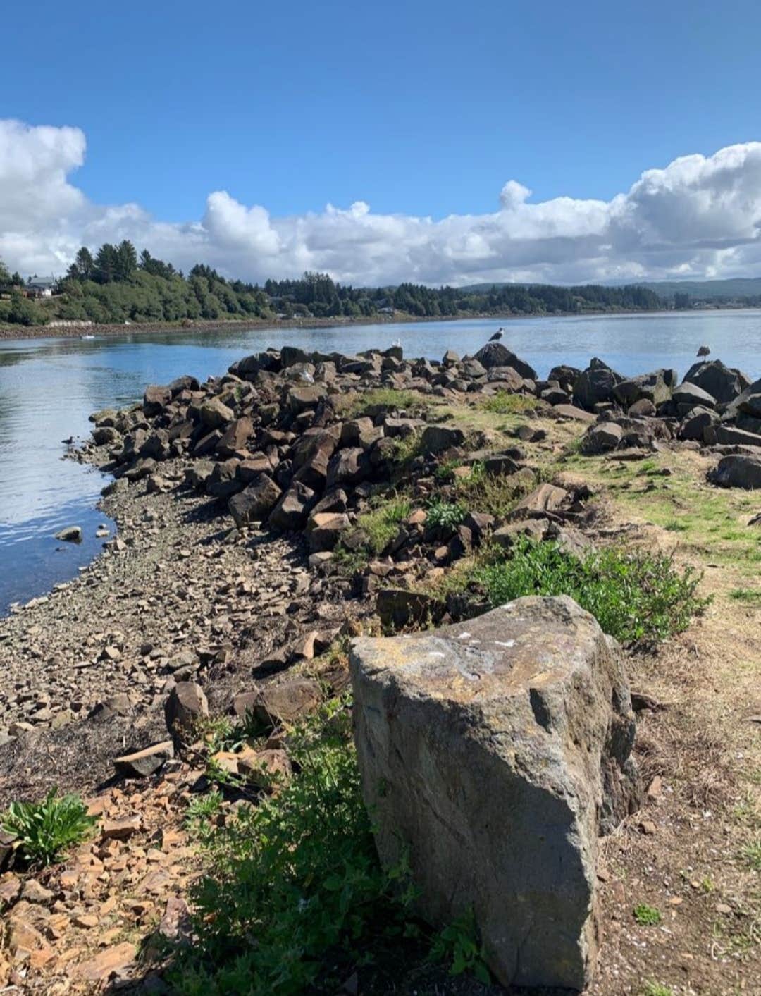 Camping near Port of Tillamook Bay RV Park: Big Spruce RV Park, Oceanside, Oregon