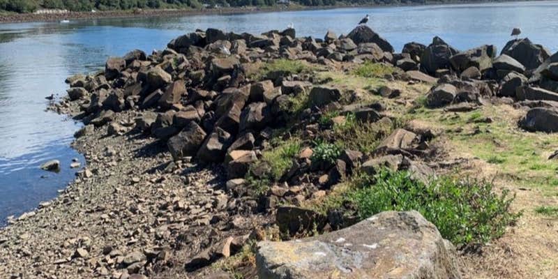 Camper submitted image from Big Spruce RV Park