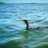 Review photo of Fort De Soto Campground by Daniel S., May 24, 2021