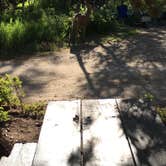 Review photo of East Portal Campground at Estes Park by Madeline B., July 15, 2016