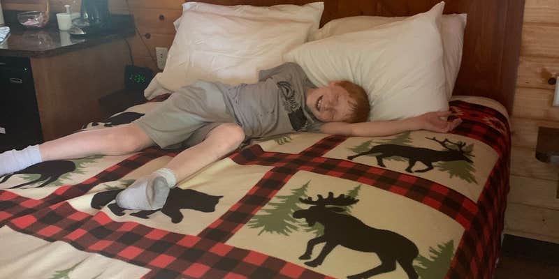 Camper submitted image from Kansas City East-Oak Grove KOA