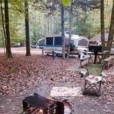 Review photo of Meeman-Shelby Forest State Park by Drucilla , May 24, 2021