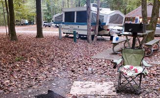 Drucilla's photo at Meeman-Shelby Forest State Park near Germantown, TN