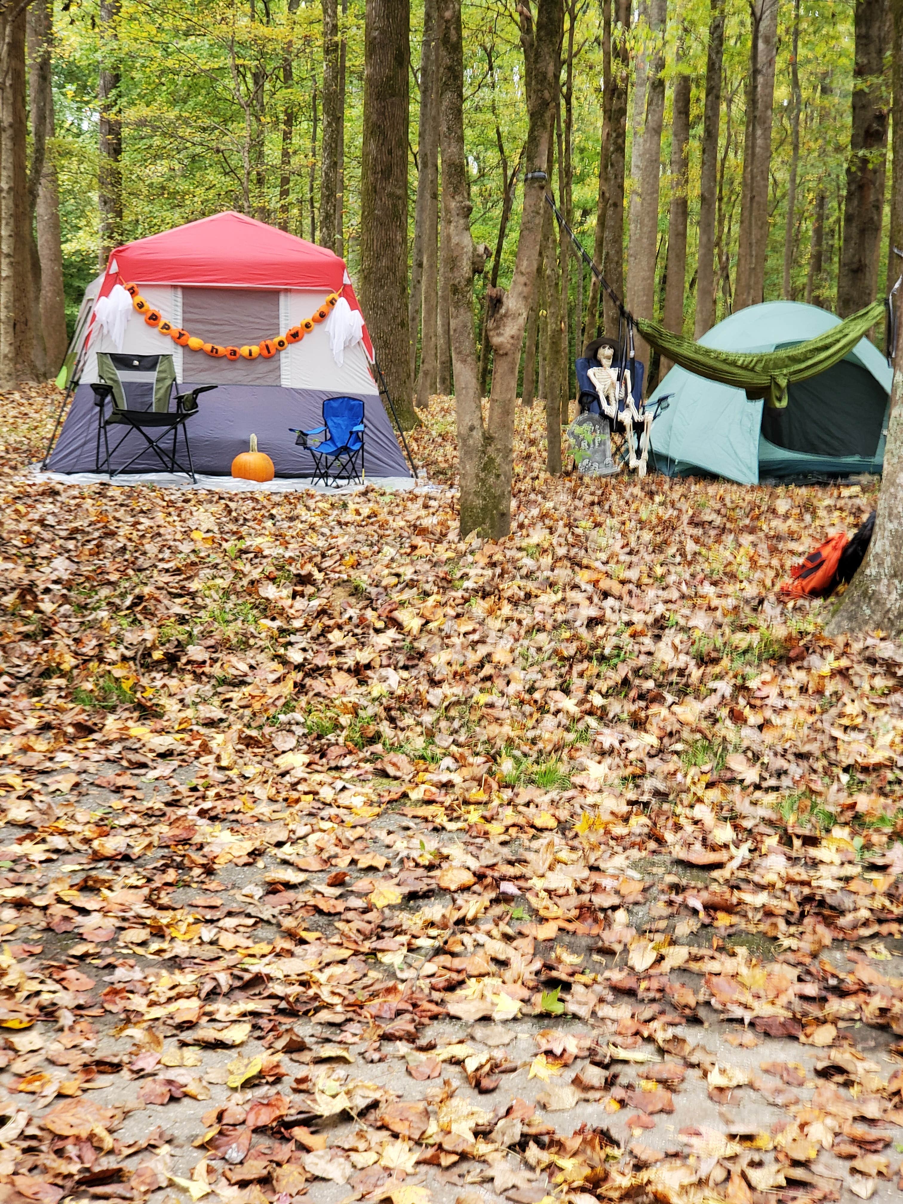 Drucilla's photo at Meeman-Shelby Forest State Park near Jonesboro, AR