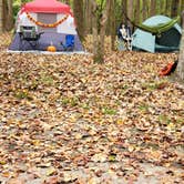 Review photo of Meeman-Shelby Forest State Park by Drucilla , May 24, 2021