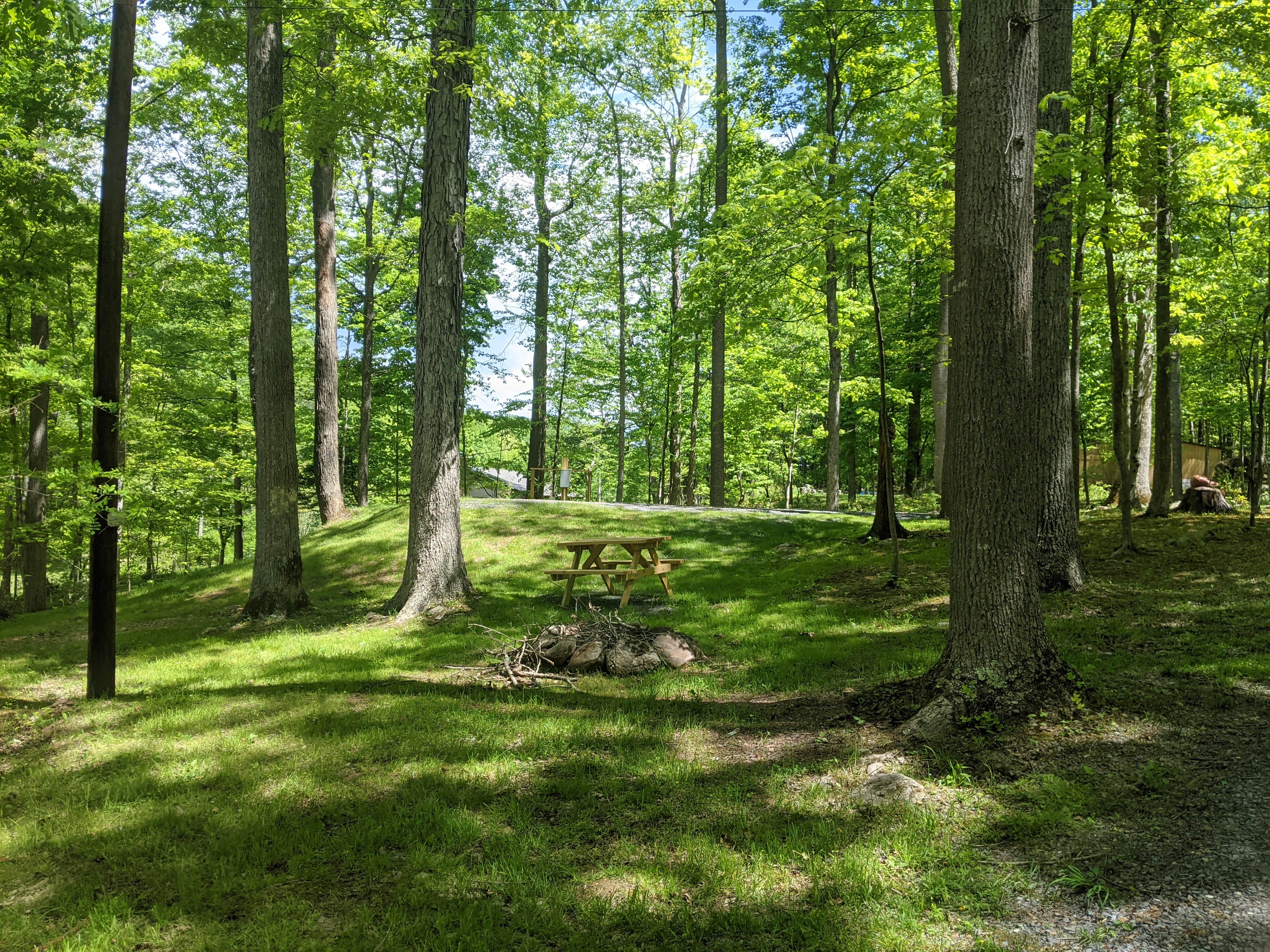 Camper-submitted photo at Camp Cacapon near Chesapeake & Ohio Canal National Historical Park