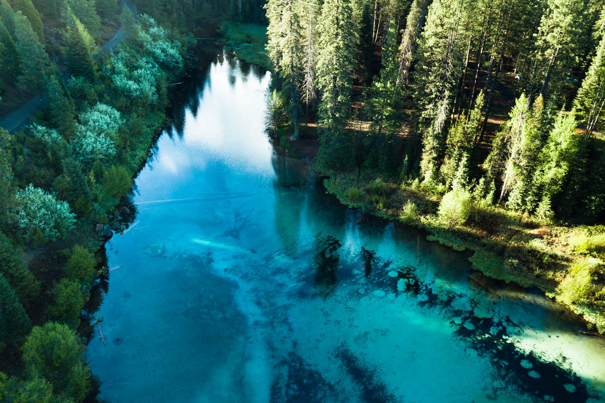 Jackson F. Kimball State Recreation Site The Dyrt