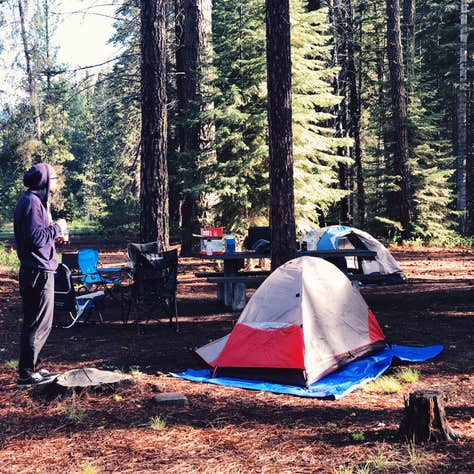 Jackson F. Kimball State Recreation Site Camping | The Dyrt