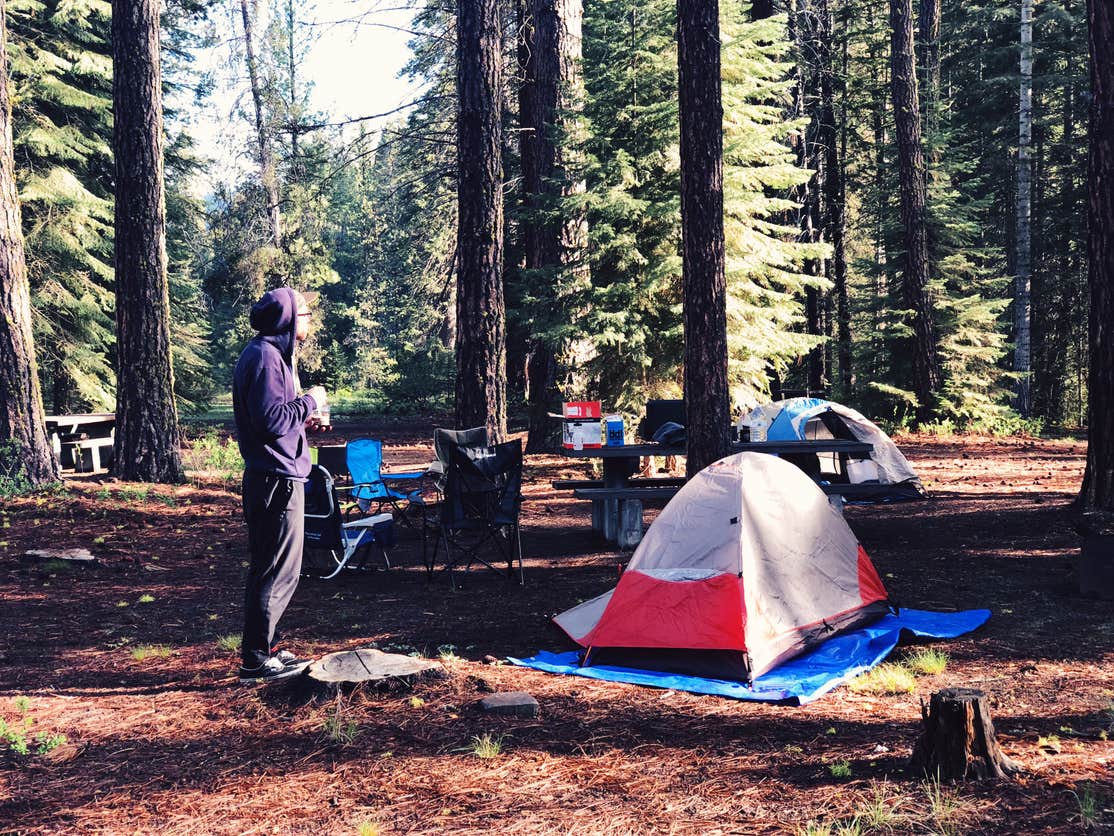 Jackson F. Kimball State Recreation Site Camping | The Dyrt