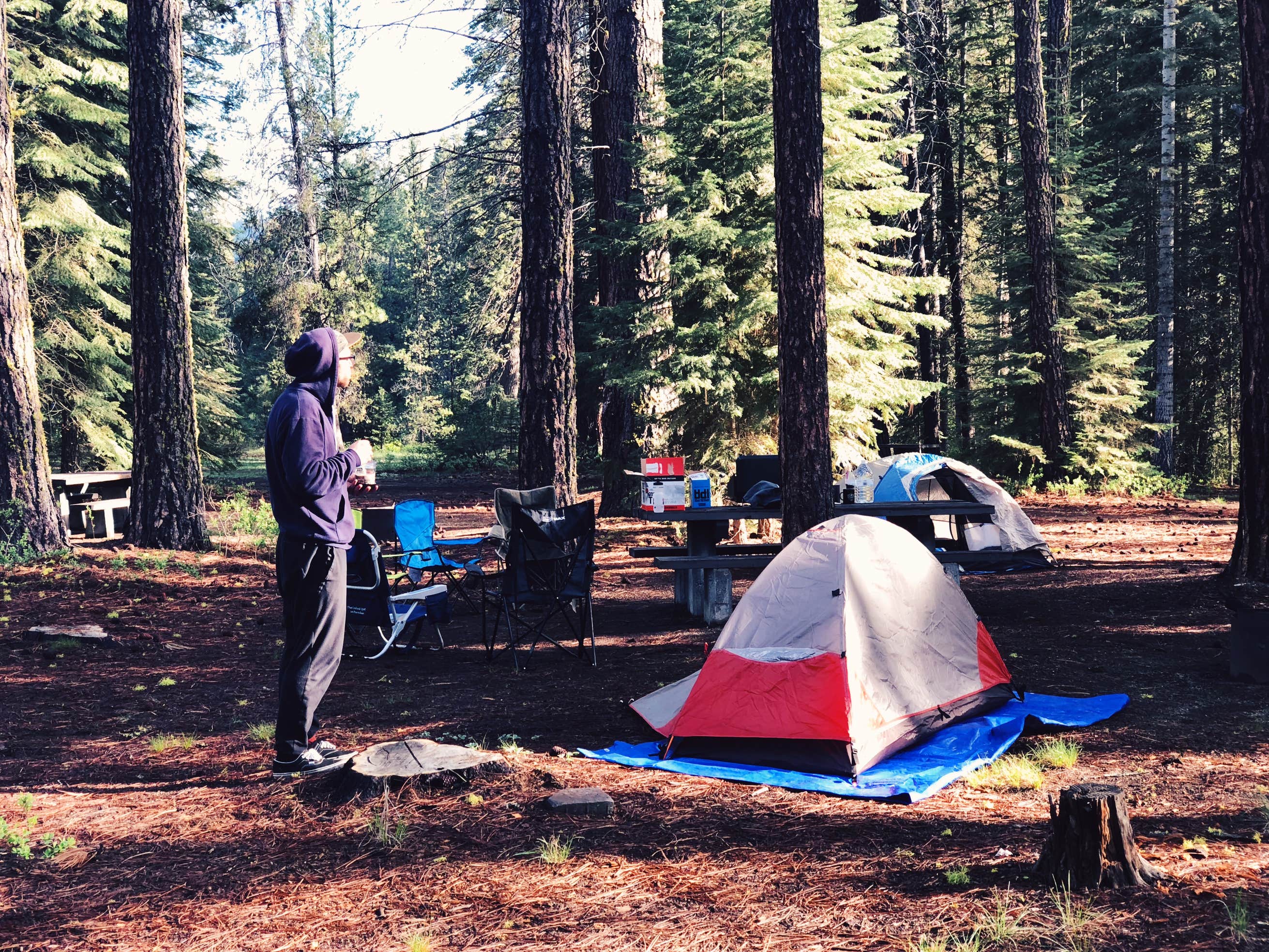 Jackson F. Kimball State Recreation Site Camping The Dyrt