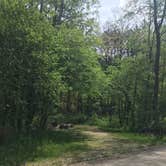 Review photo of Silver Creek State Forest Campground by Bradley B., May 24, 2021