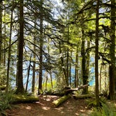 Review photo of Fairholme Campground — Olympic National Park by Megan , May 24, 2021