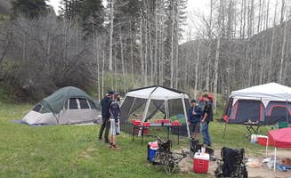 Leia E.'s photo at Little Maud Campground near Meredith, CO