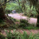 Review photo of Mill Creek Campground — Del Norte Coast Redwoods State Park by Toni  K., May 24, 2021