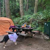 Review photo of Mill Creek Campground — Del Norte Coast Redwoods State Park by Toni  K., May 24, 2021