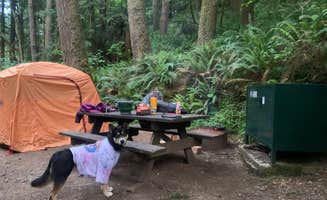 Toni K.'s photo at Mill Creek Campground — Del Norte Coast Redwoods State Park near Hiouchi, CA