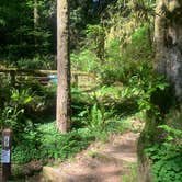 Review photo of Mill Creek Campground — Del Norte Coast Redwoods State Park by Toni  K., May 24, 2021