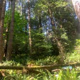 Review photo of Mill Creek Campground — Del Norte Coast Redwoods State Park by Toni  K., May 24, 2021