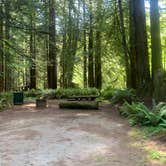 Review photo of Mill Creek Campground — Del Norte Coast Redwoods State Park by Toni  K., May 24, 2021