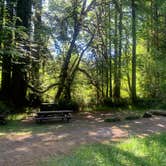 Review photo of Mill Creek Campground — Del Norte Coast Redwoods State Park by Toni  K., May 24, 2021