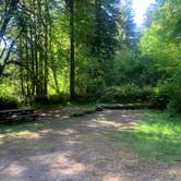 Review photo of Mill Creek Campground — Del Norte Coast Redwoods State Park by Toni  K., May 24, 2021