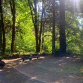 Review photo of Mill Creek Campground — Del Norte Coast Redwoods State Park by Toni  K., May 24, 2021