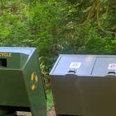 Review photo of Mill Creek Campground — Del Norte Coast Redwoods State Park by Toni  K., May 24, 2021