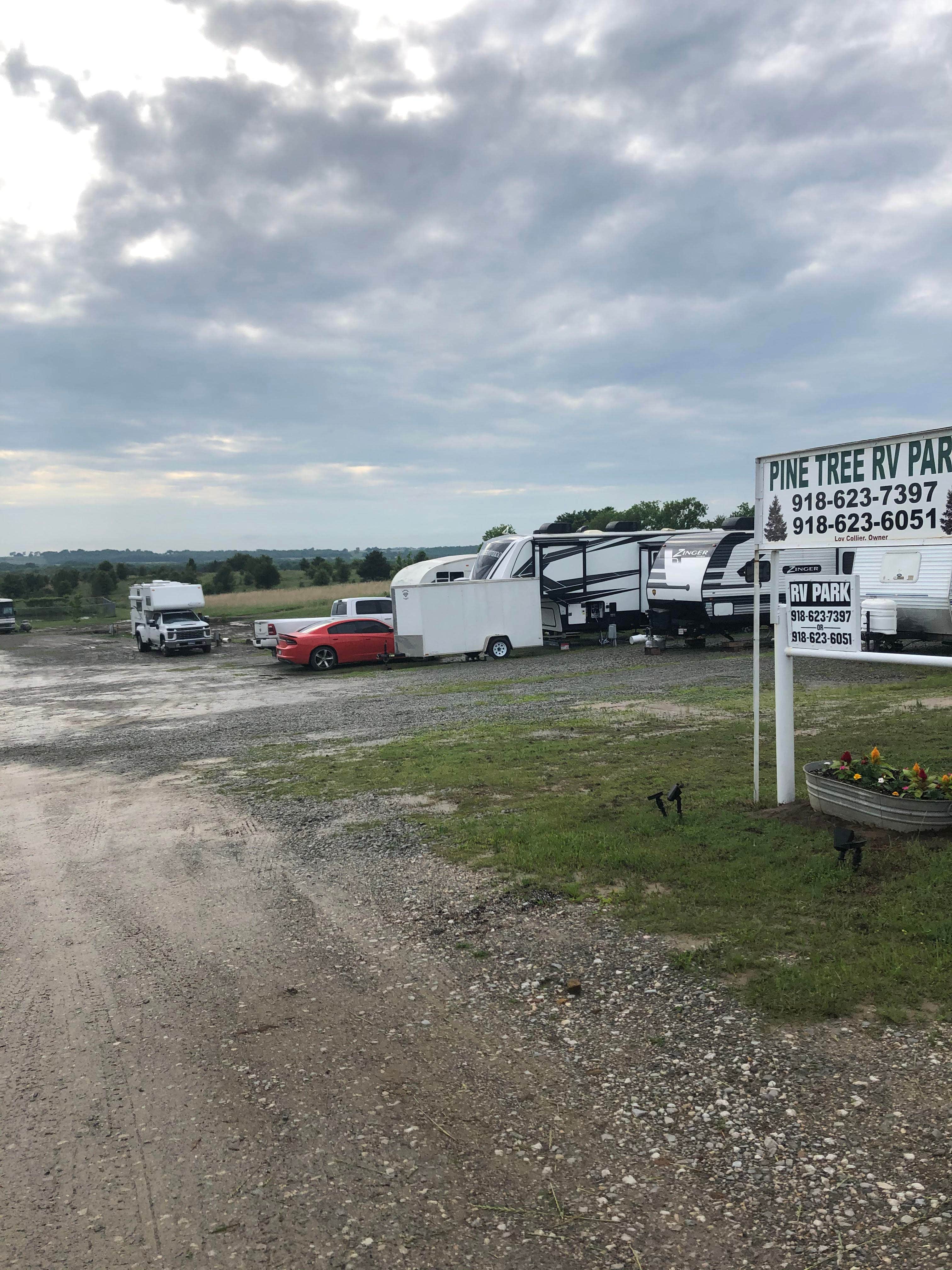 Camper-submitted photo at Pine Tree RV Park near Okmulgee, OK