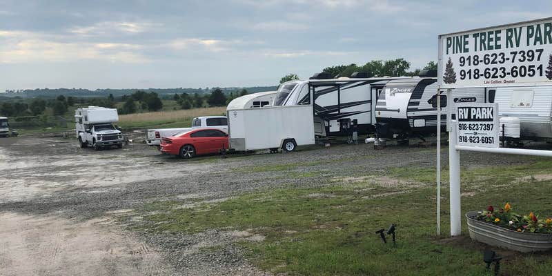 Camper submitted image from Pine Tree RV Park
