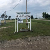 Review photo of Pine Tree RV Park by Nita D., May 24, 2021