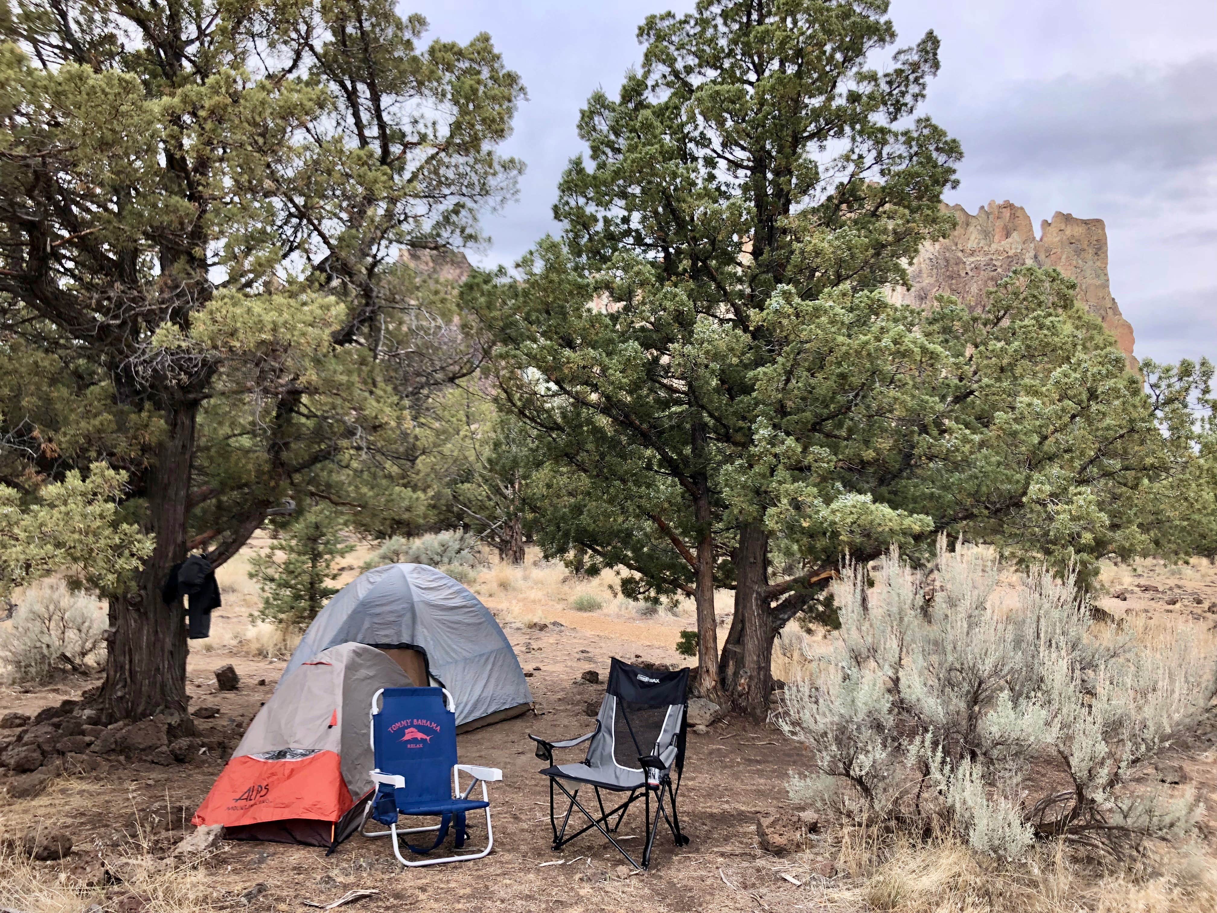 Camper submitted image from Smith Rock State Park Campground - 3