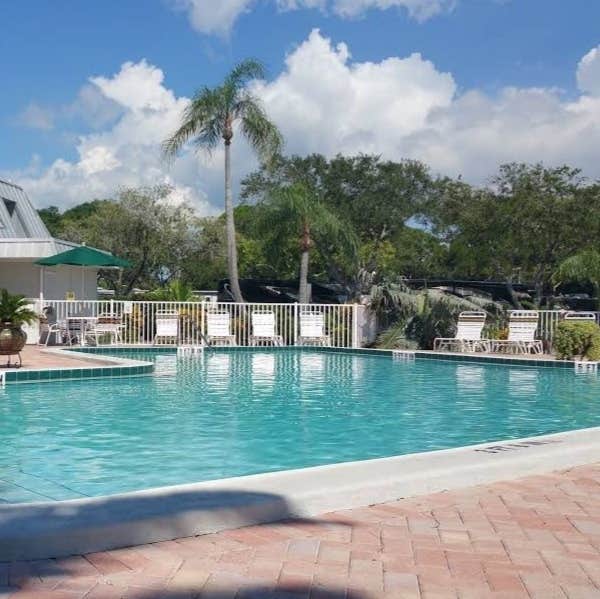 Camping near Encore Holiday Travel Park: Dunedin RV Resort, Dunedin, Florida