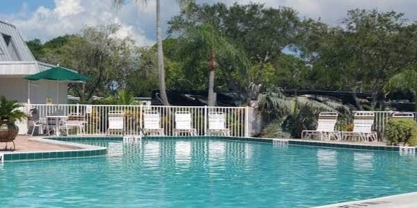 Camper submitted image from Dunedin RV Resort