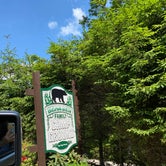Review photo of Spacious Skies Bear Den by Amy E., May 24, 2021