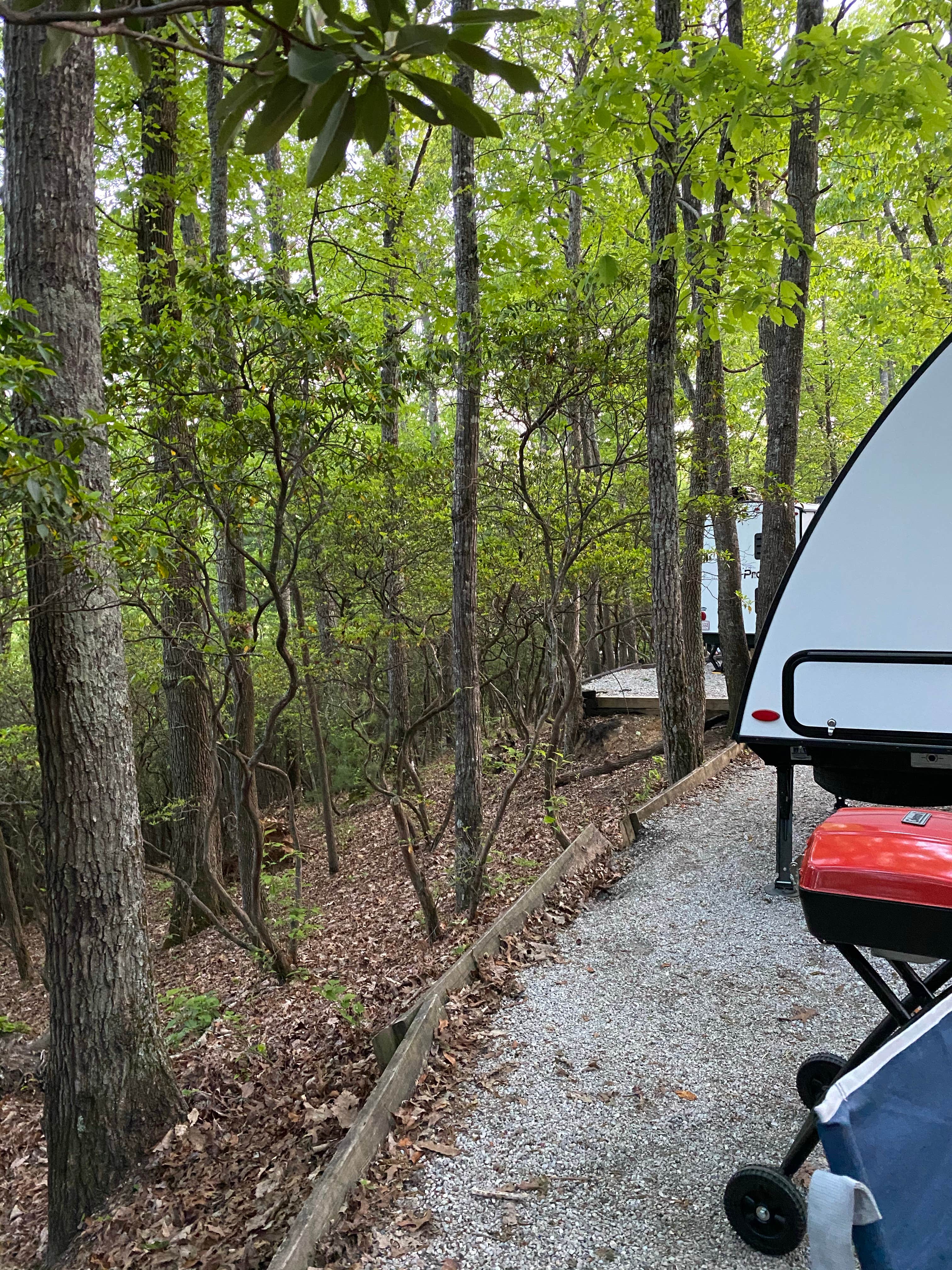 Amy E.'s photo at Spacious Skies Bear Den near Linville, NC