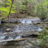 Review photo of Spacious Skies Bear Den by Amy E., May 24, 2021