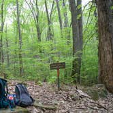 Review photo of Michaux State Forest by Aakansha J., May 24, 2021