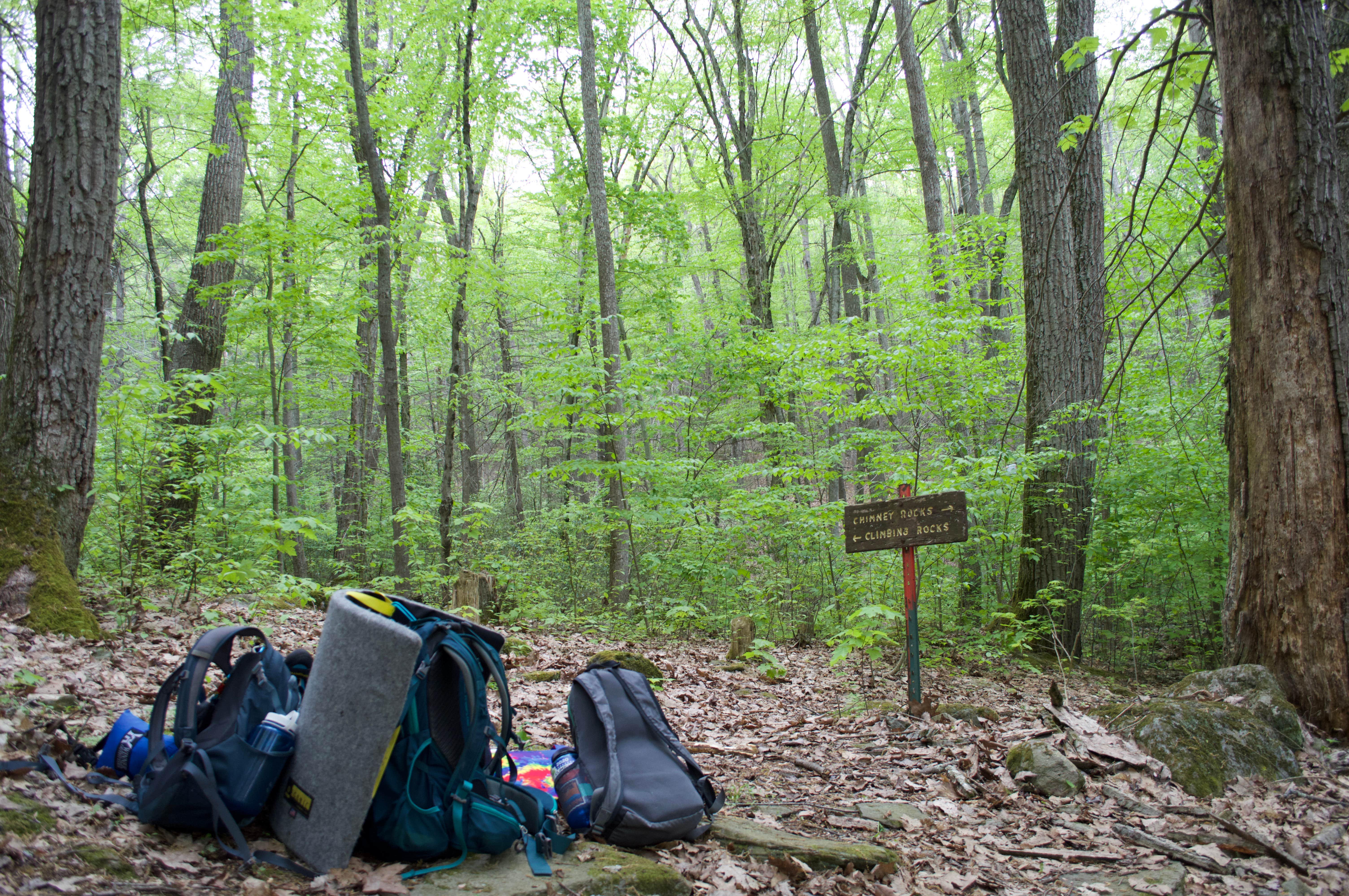 Camper submitted image from South Michaux State Forest Campsites - 1