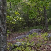 Review photo of Michaux State Forest by Aakansha J., May 24, 2021